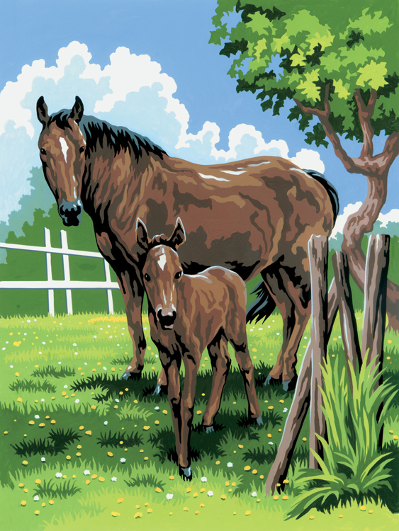 Painting by numbers MARE & FOAL