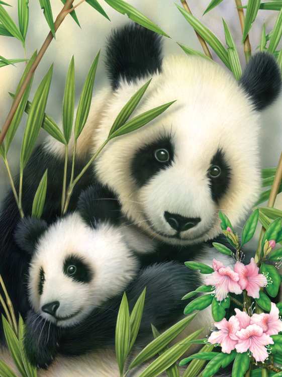 Painting by numbers PANDA & BABY