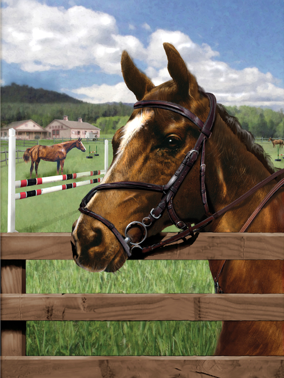 Painting by numbers EQUINE PADDOCK